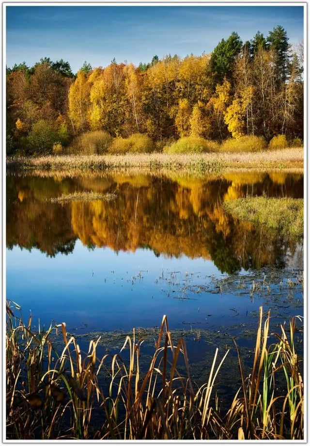 The calm that nature gives