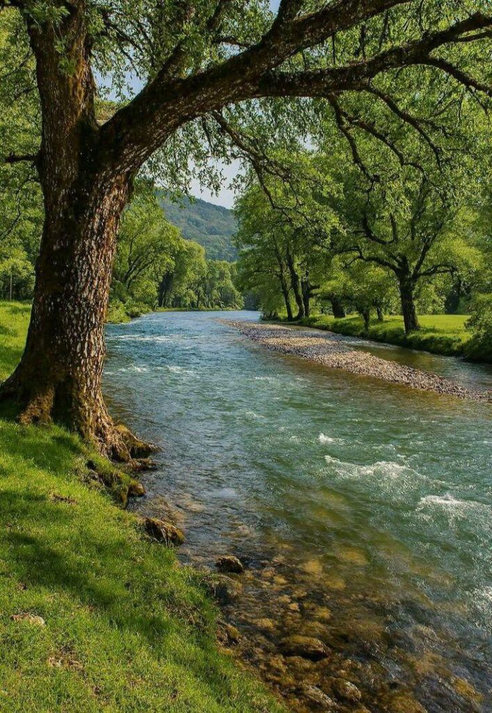 Just wanna sit here and relax ❤️