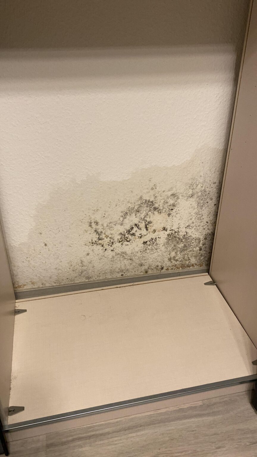 Mold behind cupboard