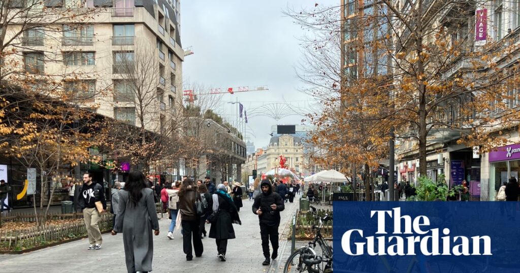 Brussels bike ban plan for pedestrian zone ‘dangerous and absurd’ | Belgium
