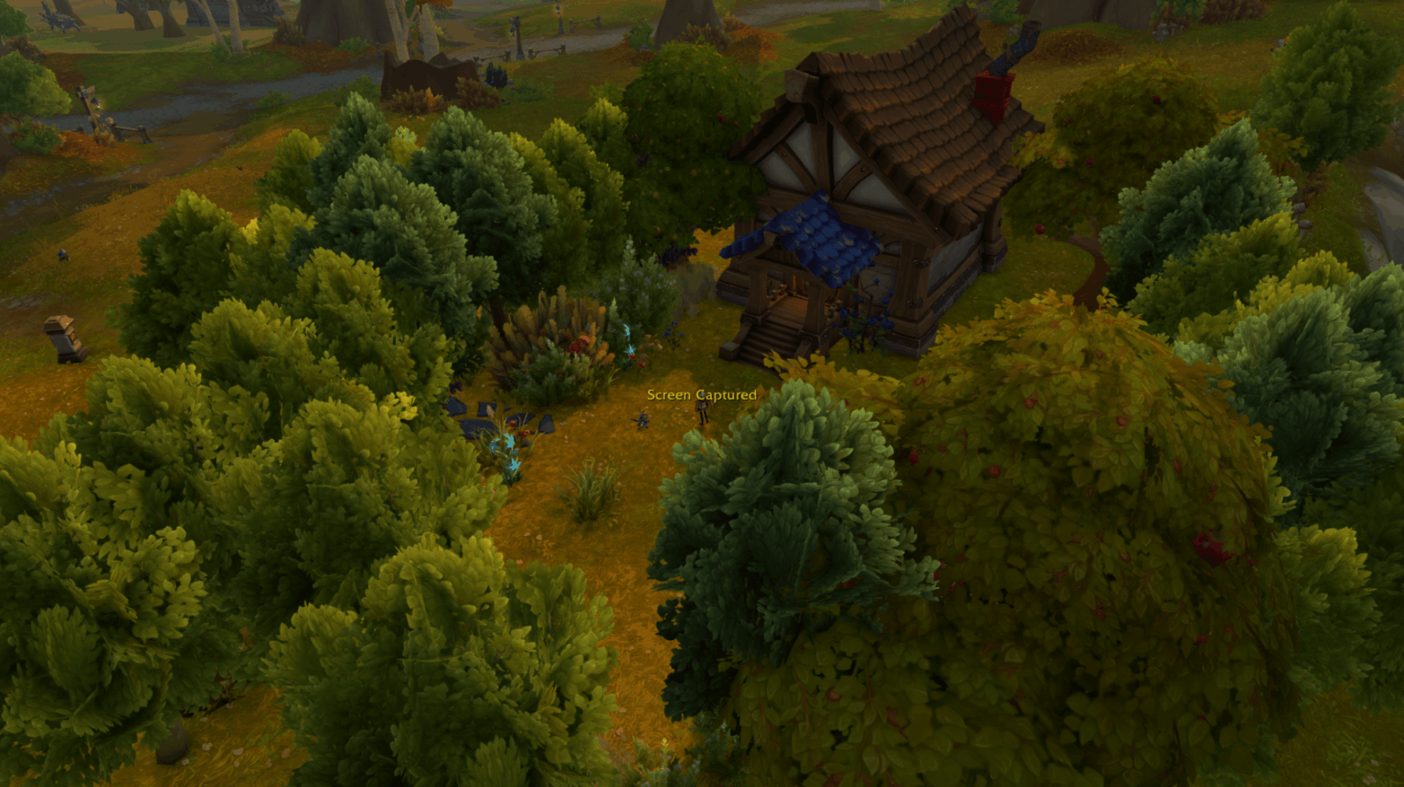 I tried (as far as possible) to make my house in WoW like Teddy Bear's den.