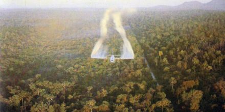 'Silent Victim'? Interrogating the Ecological Implications of War