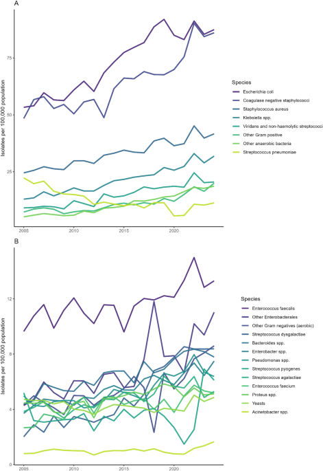 Two decades of bacteraemia in Norway: an ecological study of incidence and shifts in microbial epidemiology, 2005–2024