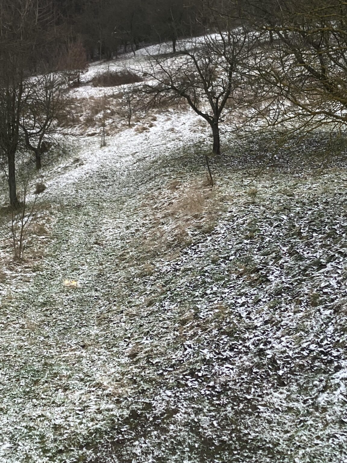Happy and Happy, r/Slovakia! It even snows a little here.