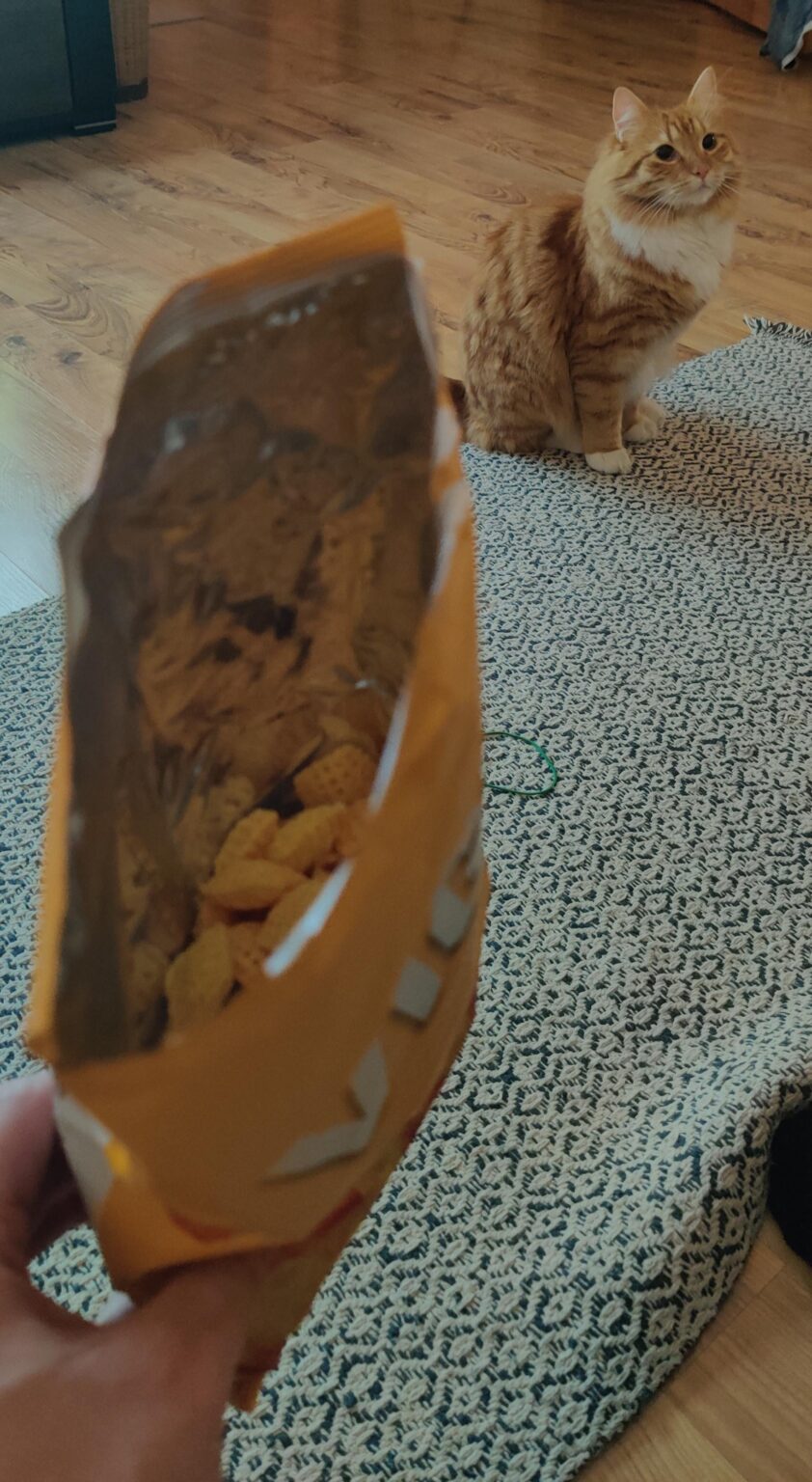 A full pack of Vigur chips