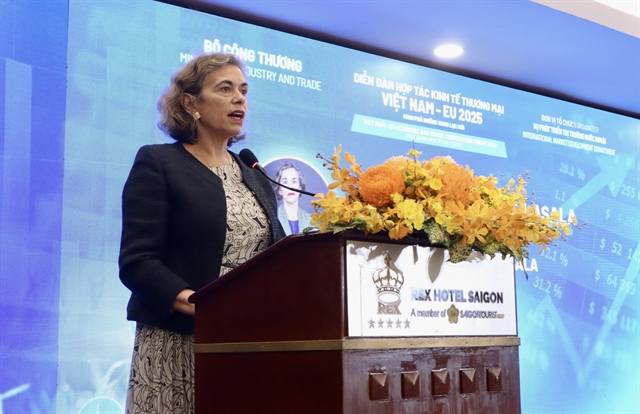 Vietnam, Spain eye sustainable, comprehensive strategic partnership: Diplomat