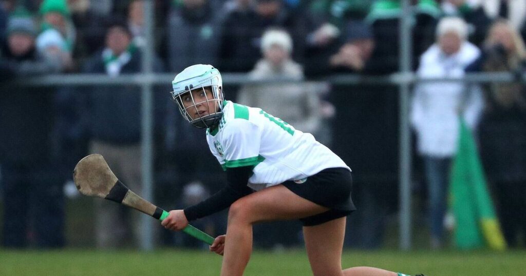 All-Ireland final joy for siblings who encapsulate the spirit of camogie community 