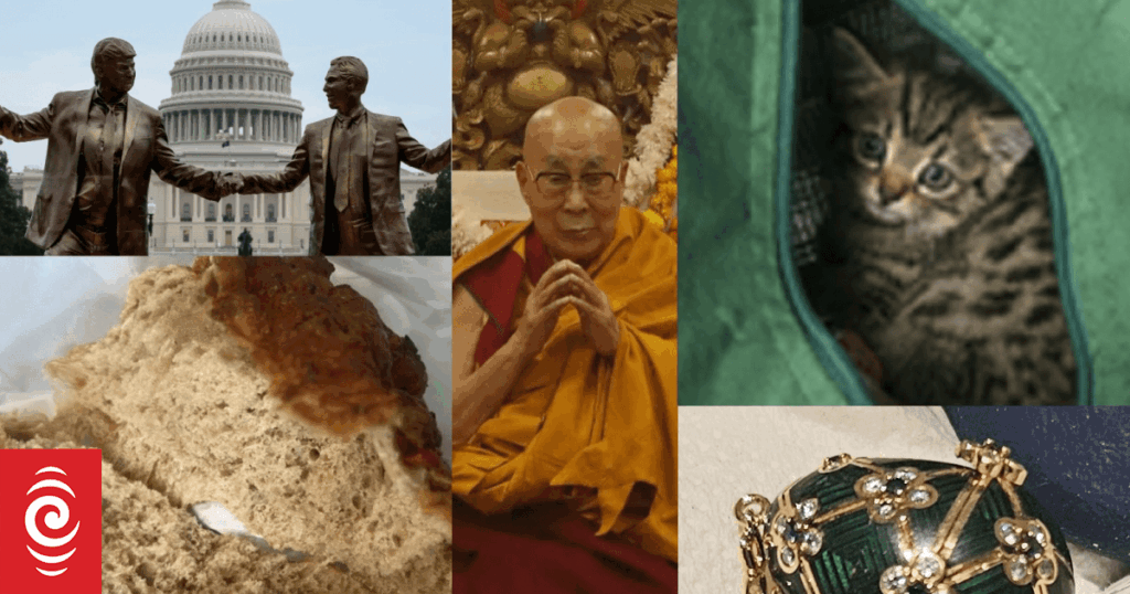 The oddest news RNZ covered in 2025 The oddest news RNZ covered in 2025