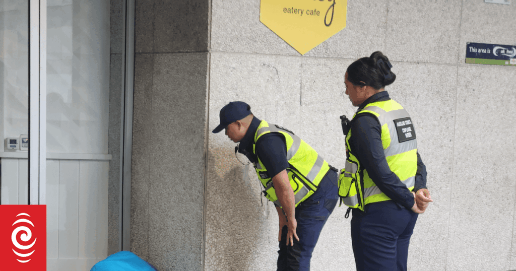 Homelessness in Auckland more than doubles to 940 people in year to September - survey