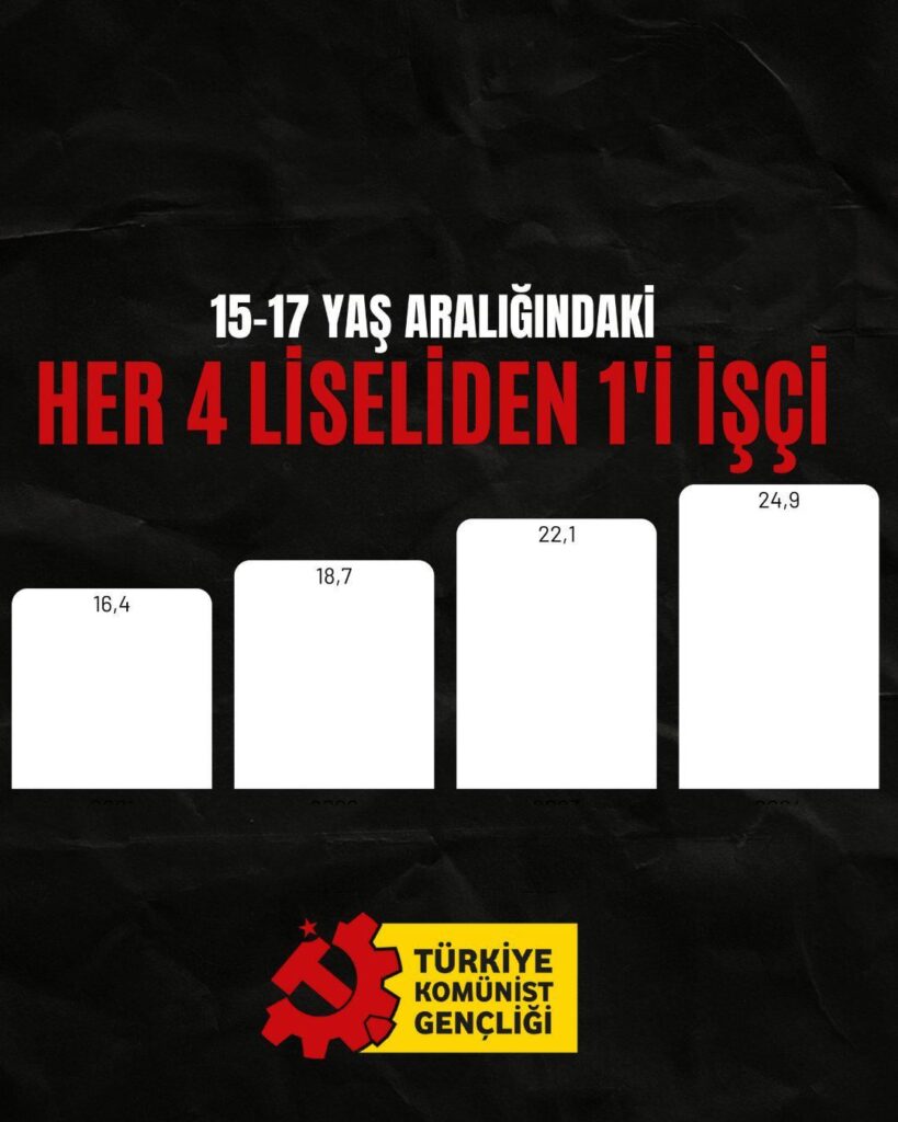 TKG: We Are Not Criticizing You, Yusuf Tekin, We Are Asking Account for the Child Laborers You Killed!