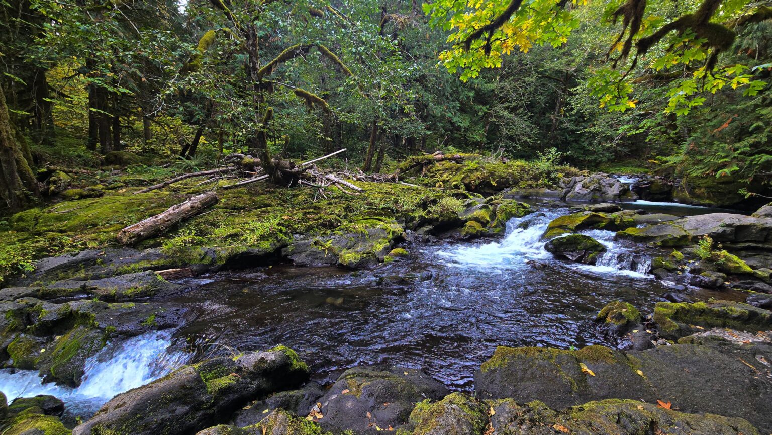 Care to sit a while and watch the water!