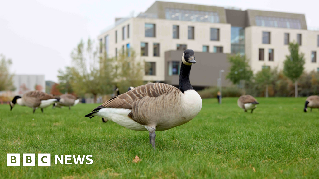 Northampton university keeps environmental accolade for 10 years