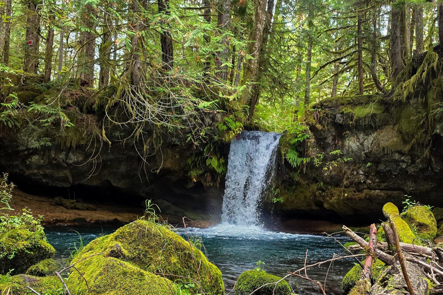 Just a fairy tale land out in the PNW