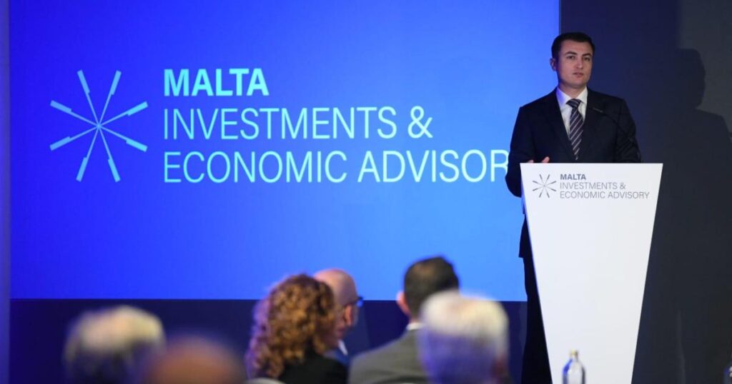 Government launches new entity to lead investments and partnerships