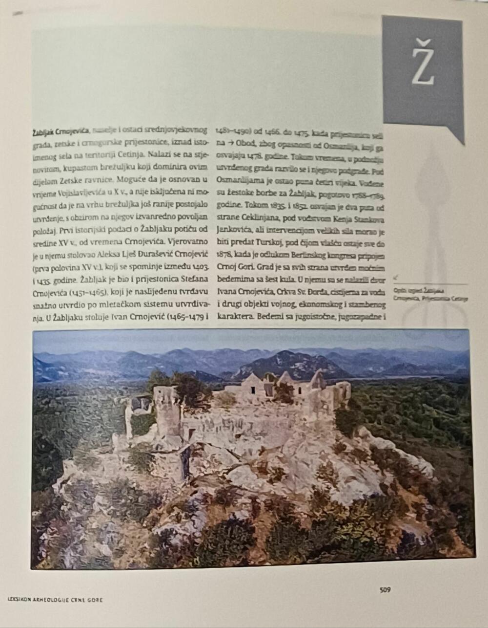 519 entries were processed