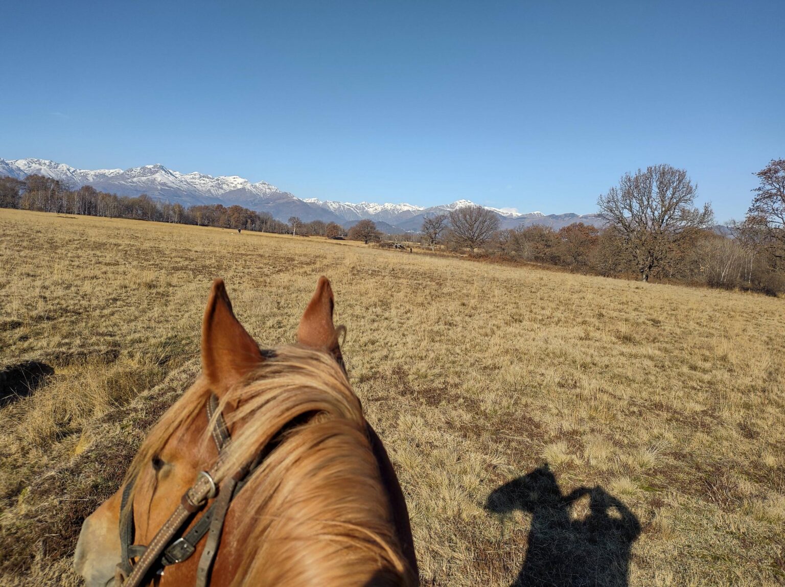 Caffè Italia * 21/12/25