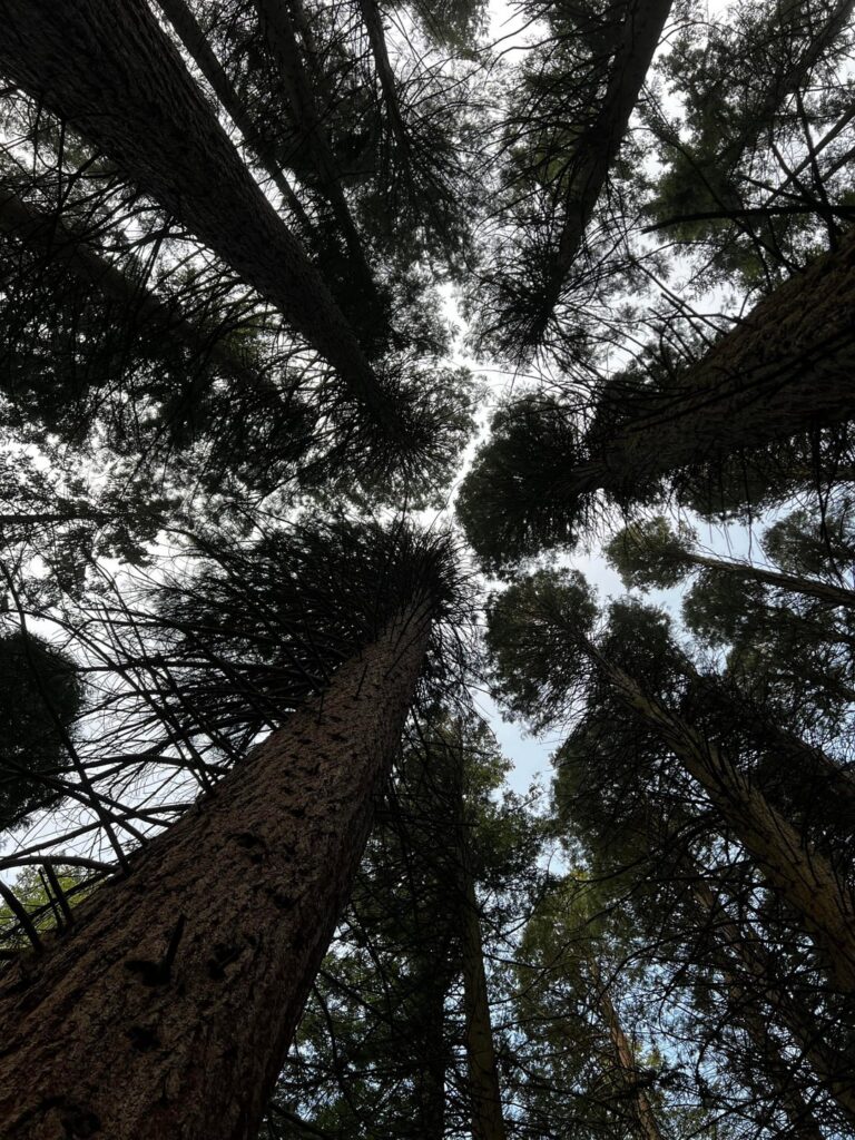 Surrey, British Columbia, Canada