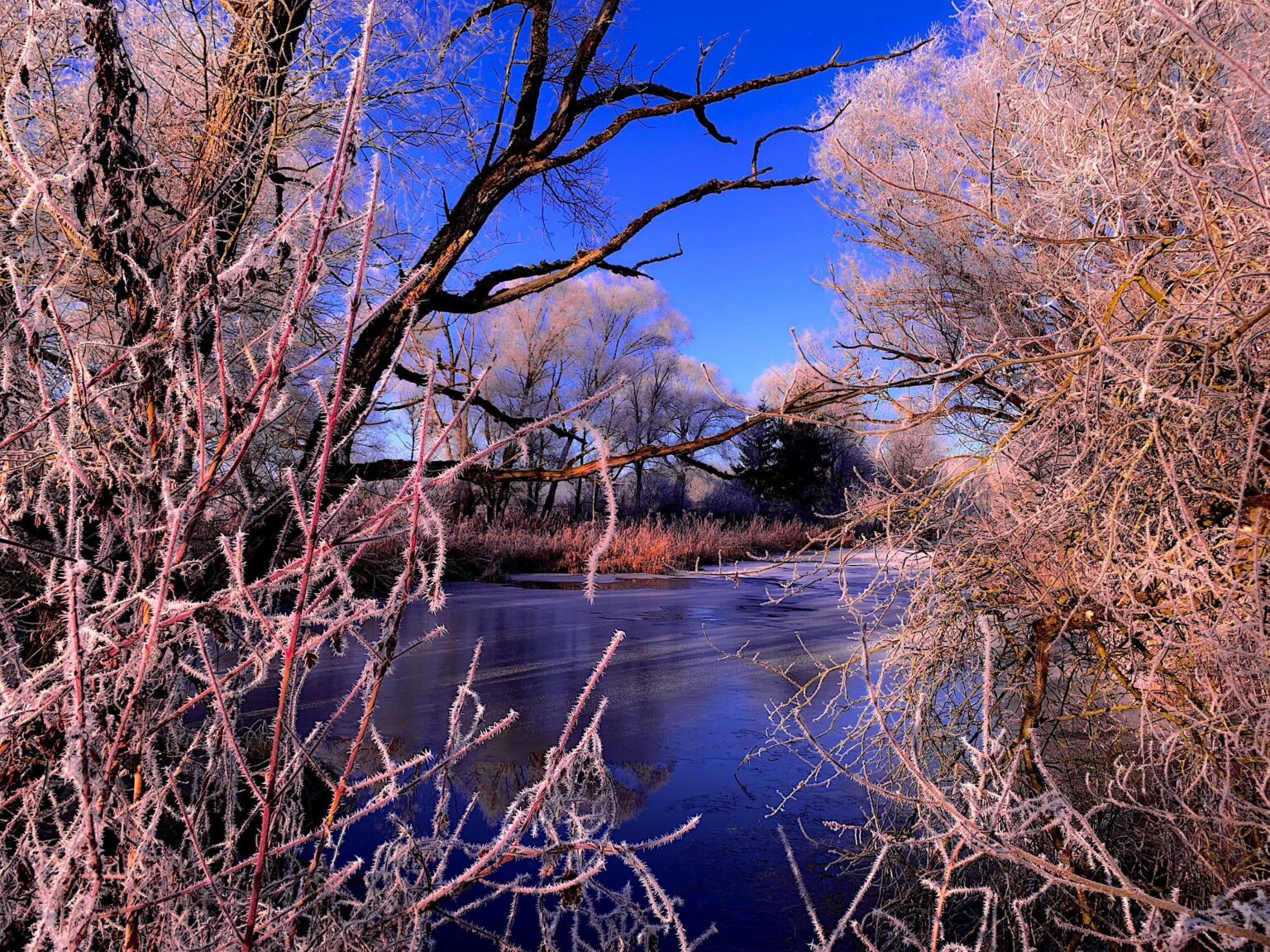 a cold morning [ OC ]