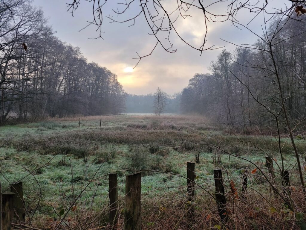 Last walk of 2025 in As in Belgian Limburg, best wishes for 2026 [OC]