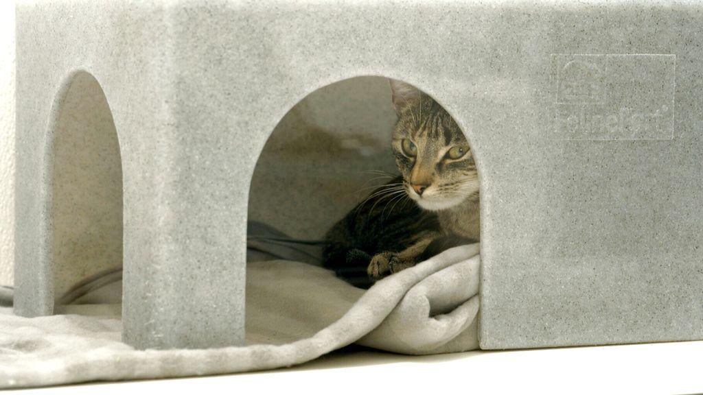 Hundreds of millions left to charities, relatives not always happy