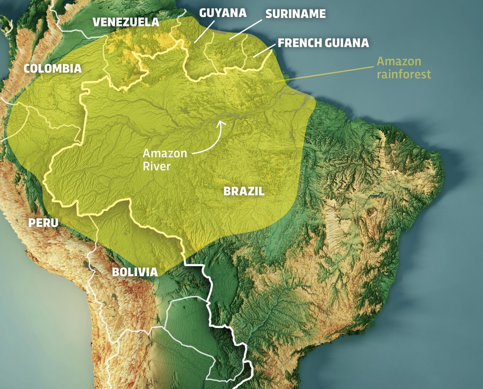 About 60% of the entire Amazon rainforest lies in Brazil