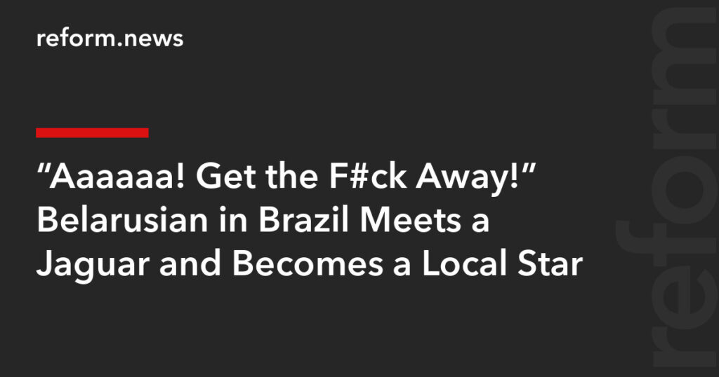 “Aaaaaa! Get the F#ck Away!” Belarusian in Brazil Meets a Jaguar and Becomes a Local Star – REFORM.news (formerly REFORM.by)