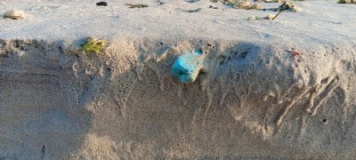 Microplastics in Oceans Distorts Carbon Cycle Understanding