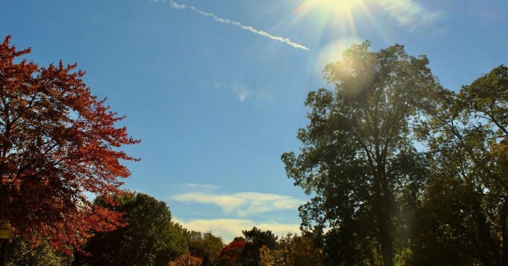 Editorial: AI causes irreversible damage to the environment | Viewpoint