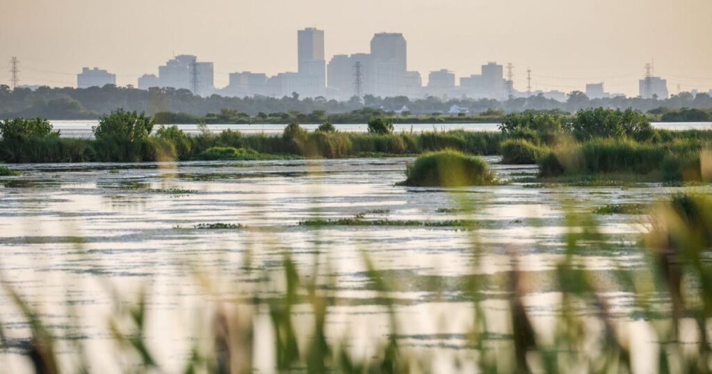 Louisiana details big shift in coastal restoration strategy | Environment