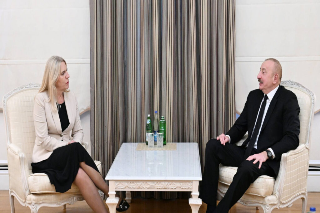 Member of the Presidency of Bosnia and Herzegovina congratulates President Ilham Aliyev on his birthday