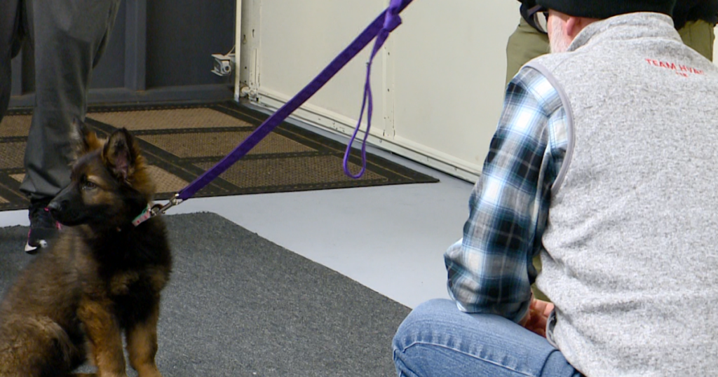 Congressman Van Orden emphasizes importance of supporting veteran owned business at Rising Starr K9’s | News Congressman Van Orden emphasizes importance of supporting veteran owned business at Rising Starr K9's | News