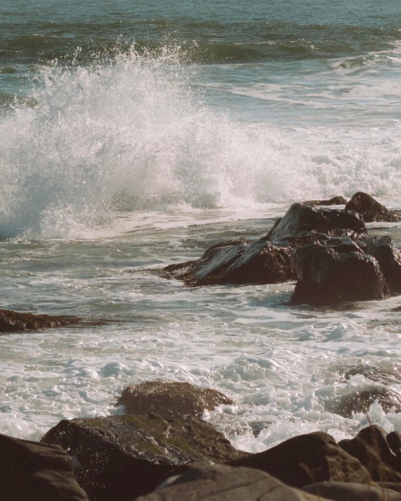 It’s always a good day to visit the ocean