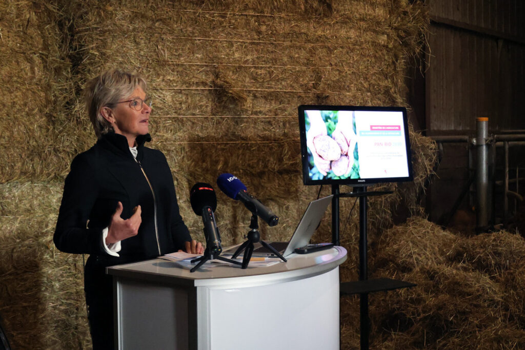 Luxembourg bets on controlled organic growth