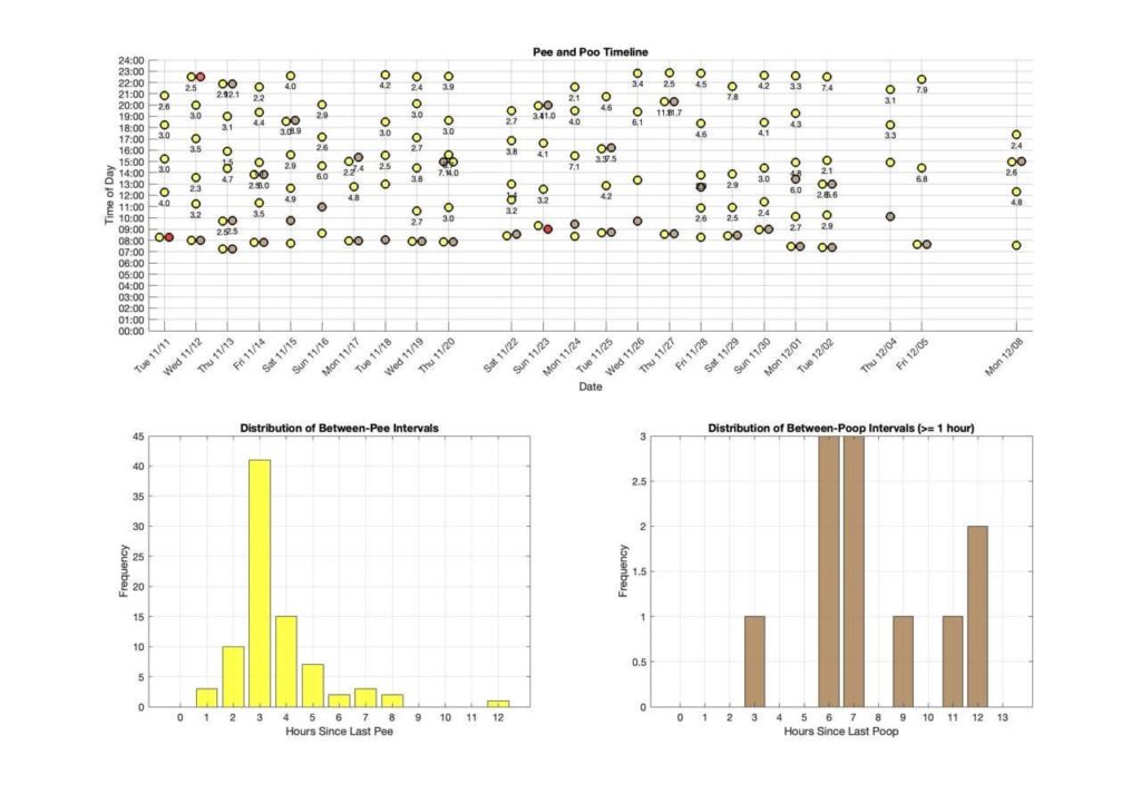 A friend graphed pee and poo times for his dog (being potty trained) [OC]