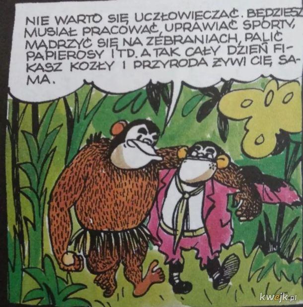 I'm looking for a panel from Tytus Romek and ATomek in good quality