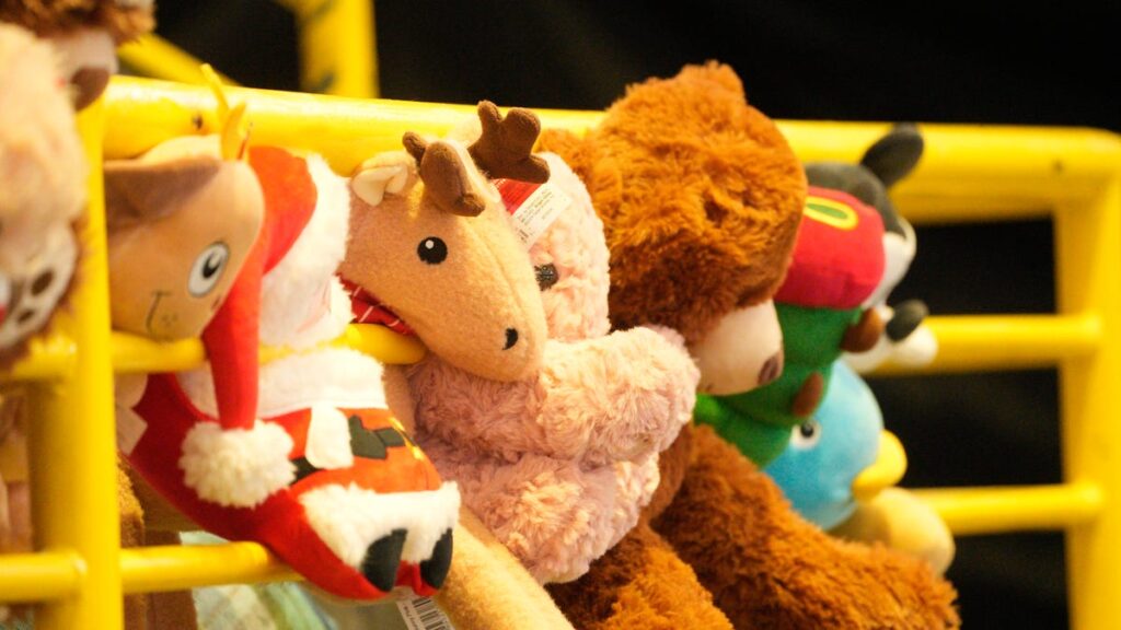 30 Years of Impact – Celebrating the Lee Health Foundation