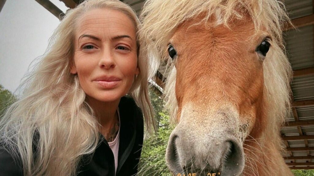 Horse owners shaken: Sexual assaults on two horses in the same stable in Værløse - The assaults have caused the horse owners to take extra precautions in the stables, while the case is investigated by the police.