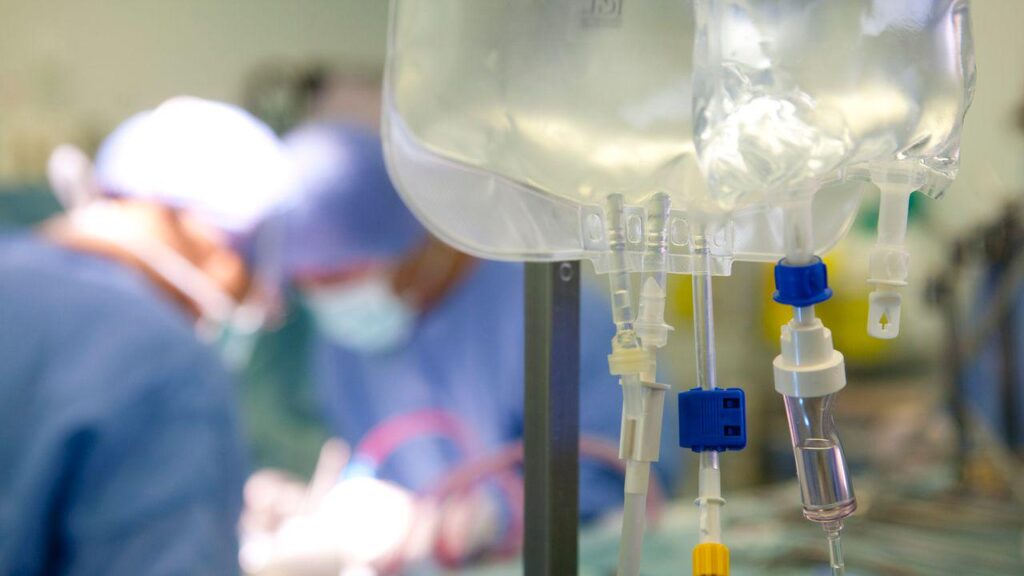 At 33, the ex-rector's son wins the competition for full professor, researchers protest: "Suspicion of academic favoritism"