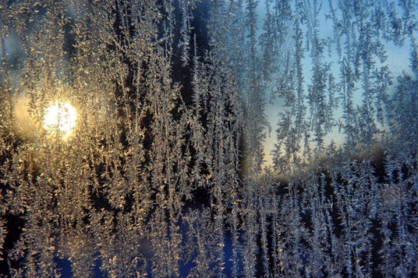 frost down to -10. What about snow?