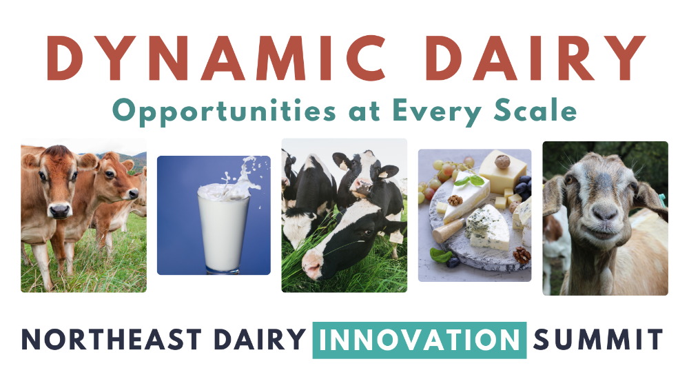 Early Bird Registration for the Northeast Dairy Innovation Summit