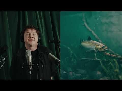 Fish on classifieds sites?