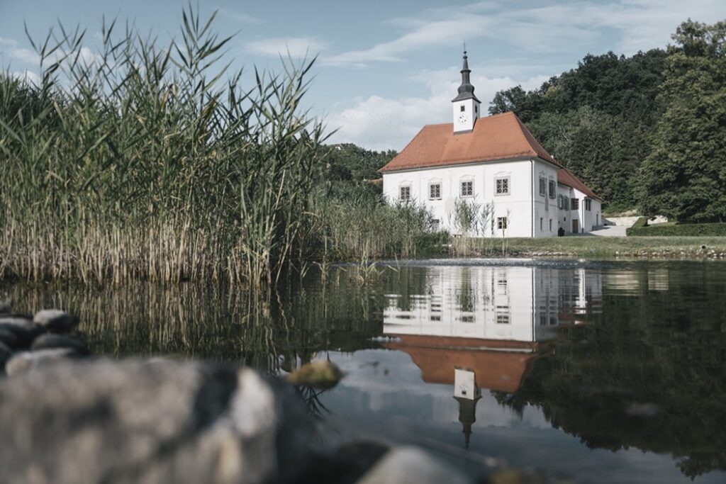 Restaurant and wine cellar Dveri Pax, Slovenia : From Vineyard to Table