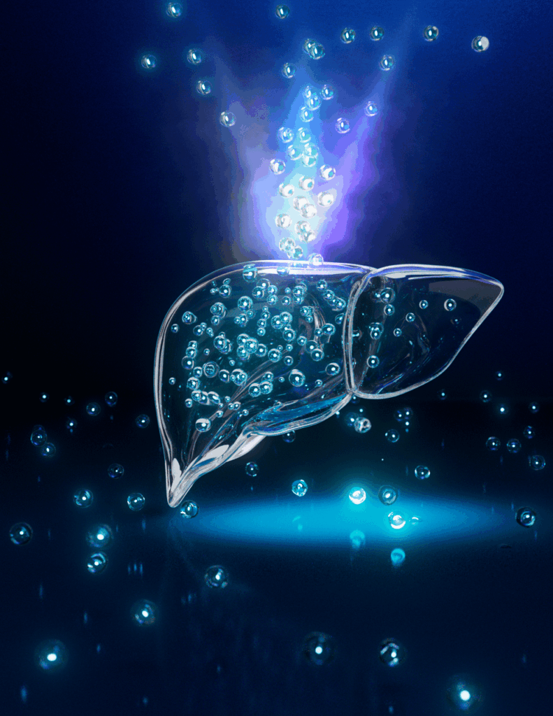 mRNA rejuvenates aging immune system: mRNA technology used to transform liver in mice into temporary source of important immune regulatory factors naturally lost during aging. This restores formation of new immune cells, allowing older animals to develop immune responses again and fight tumors.