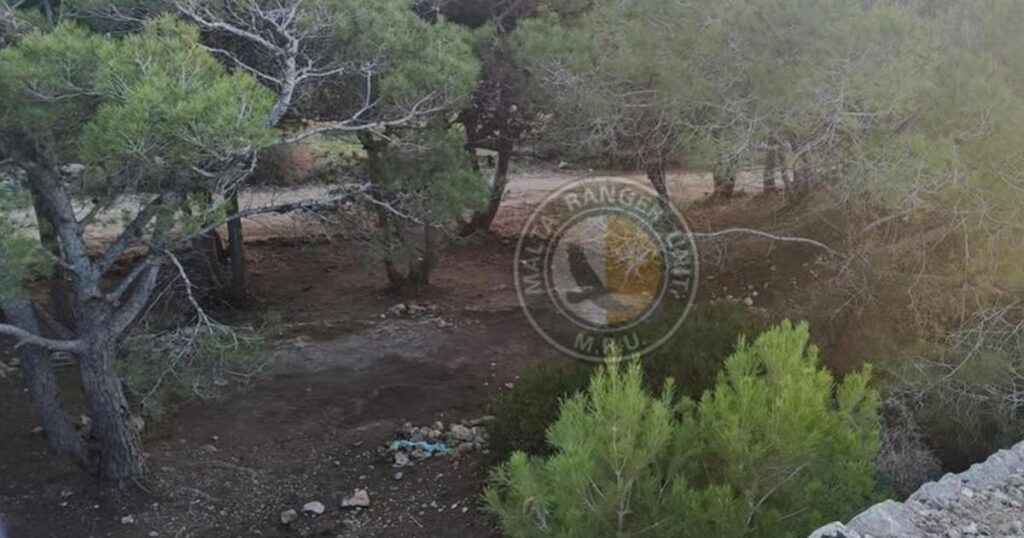 Squatters dismantle illegal structures at the Dwejra Lines