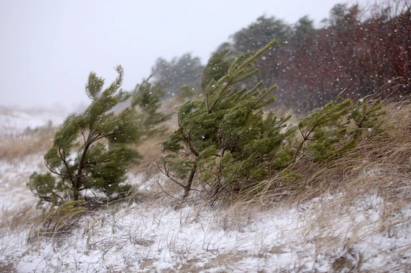 Hurricane Winds Are Coming to Latvia! Meteorologists Warn Latvians Hurricane Winds Are Coming to Latvia! Meteorologists Warn Latvians