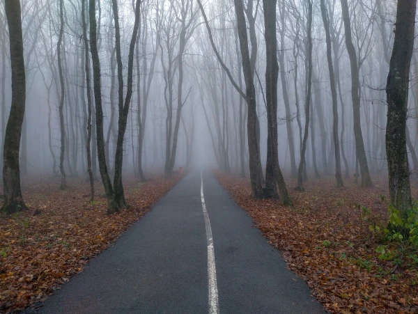 it will be unusually warm in Latvia tomorrow