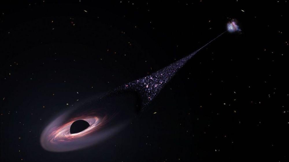 The JWST has confirmed the existence of a runaway supermassive black hole in the Cosmic Owl galaxy, which is a pair of ring galaxies located about 8.8 billion light-years away