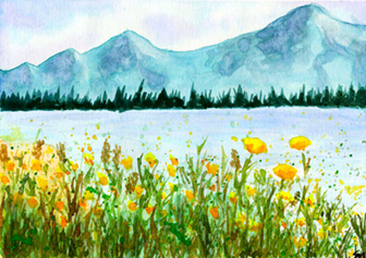 Beth Pansino Columbia River Gorge Wildflowers