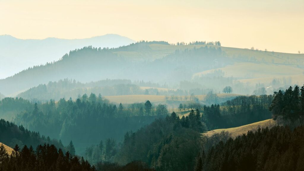 Condé Nast Traveller