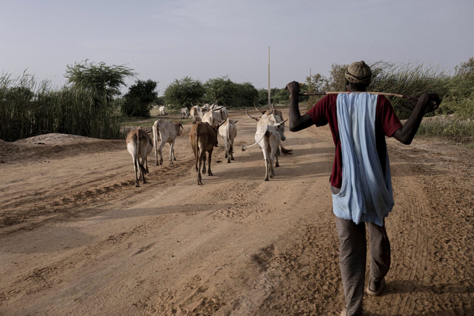 In Senegal, climate change is adding to historic tension between farmers and herders